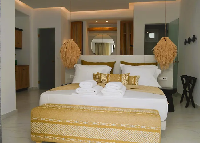 V Luxury Naxos Апартаменты Naxos City